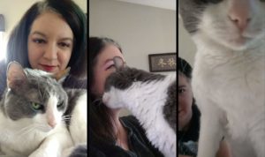 A series of bad pictures with my cat.